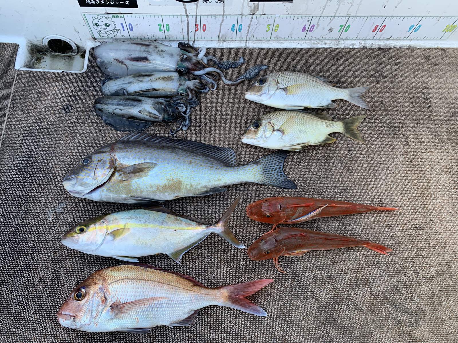 徳島遊漁船極鱗丸甲浦ティップラン＆タイラバの12月の釣果(2025.12.05)