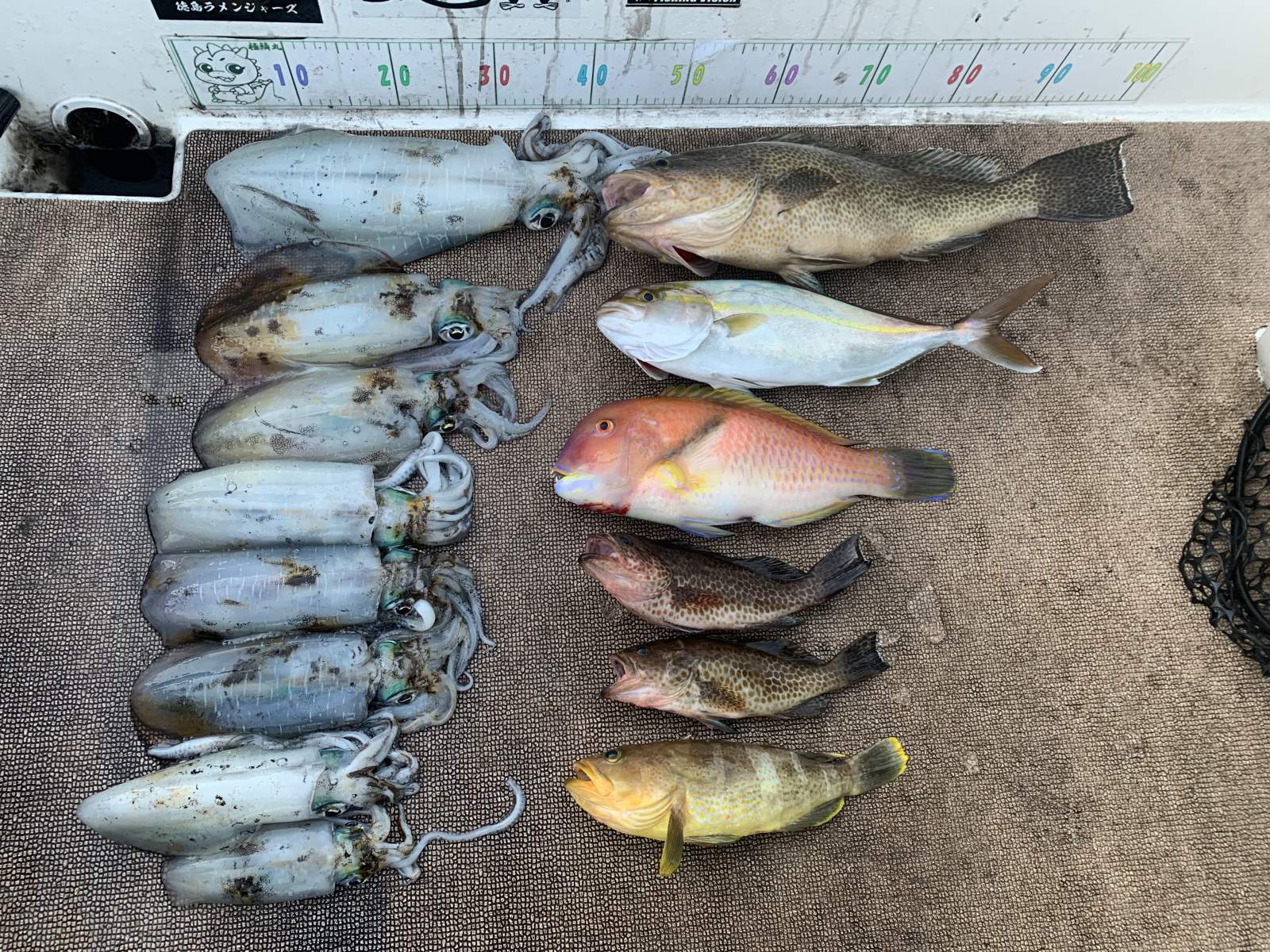 徳島遊漁船極鱗丸甲浦ティップラン＆タイラバの12月の釣果(2025.12.06)