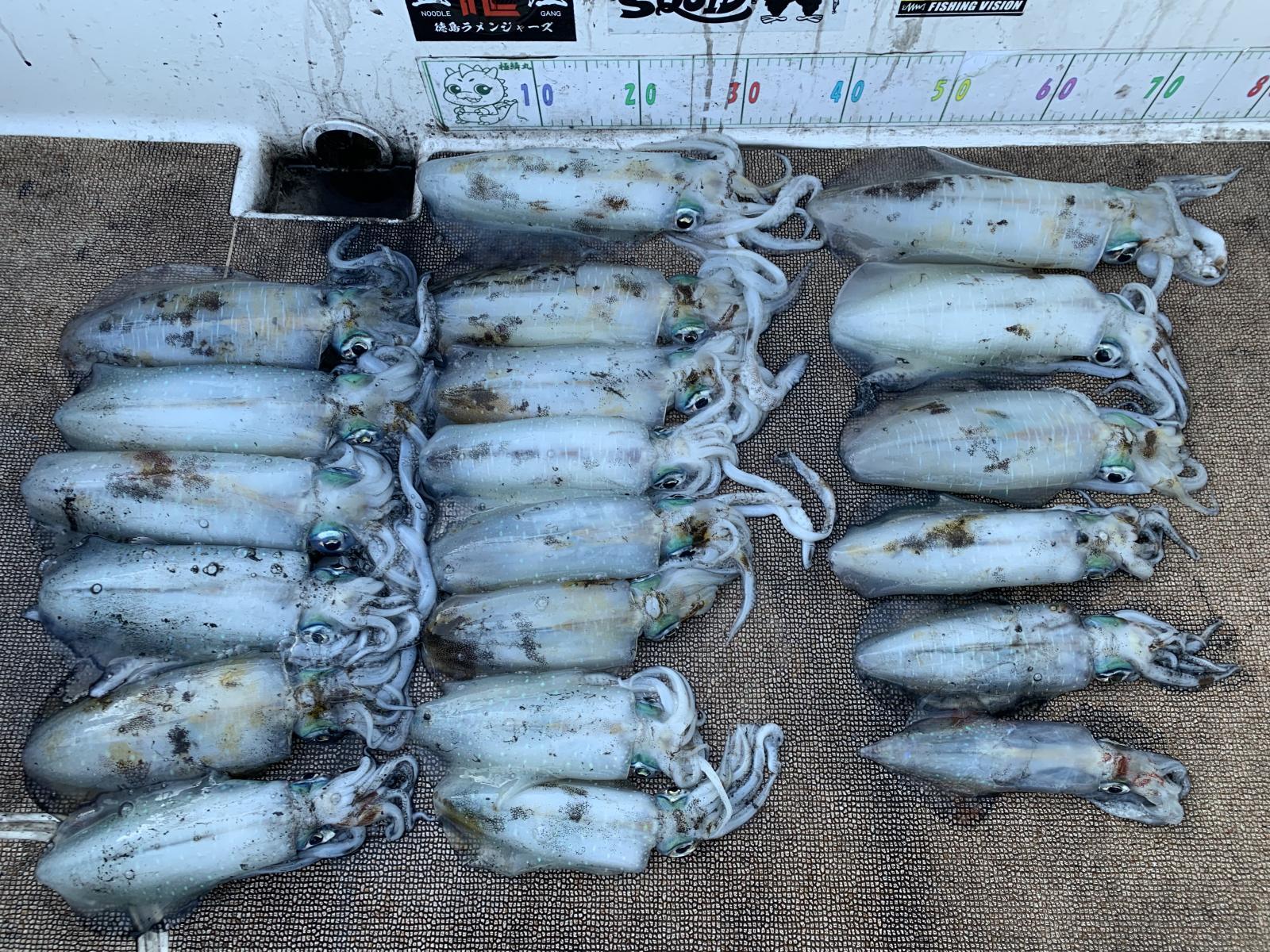 徳島遊漁船極鱗丸甲浦ティップランの12月の釣果(2025.12.07)