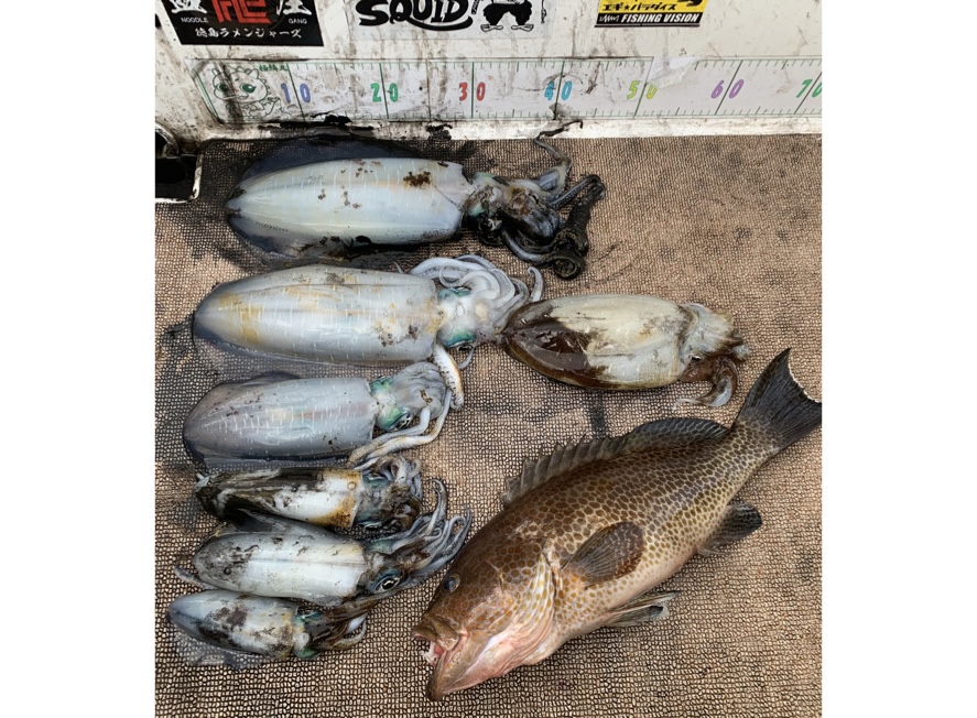 徳島遊漁船極鱗丸甲浦ティップランの12月の釣果(2025.12.28)