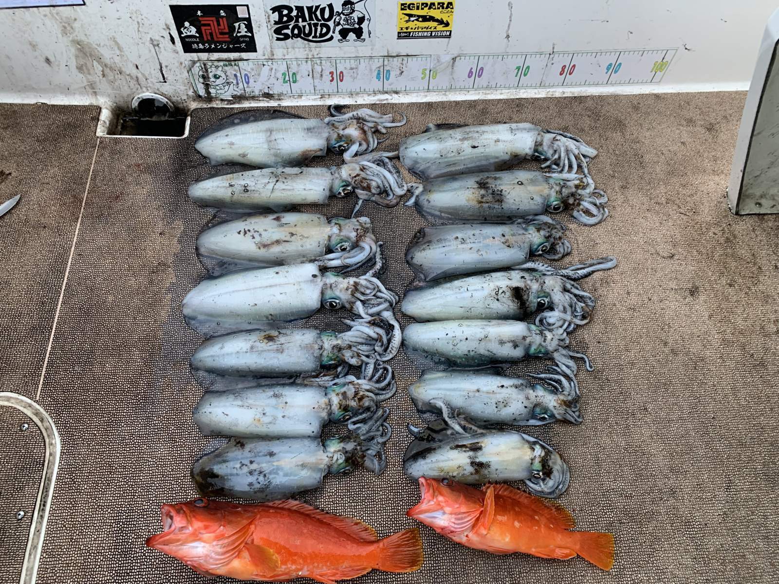 徳島遊漁船極鱗丸甲浦ティップランの1月の釣果(2026.01.01)