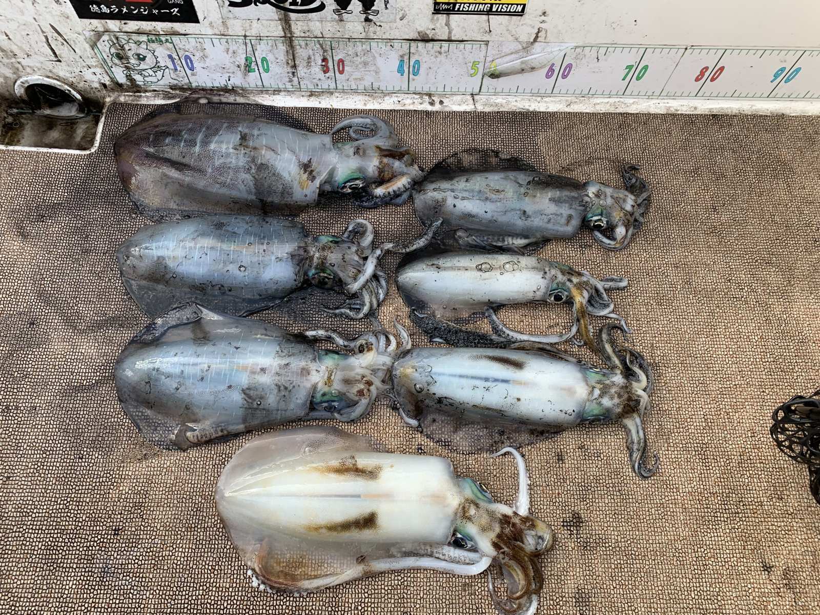 徳島遊漁船極鱗丸甲浦ティップランの1月の釣果(2026.01.18)