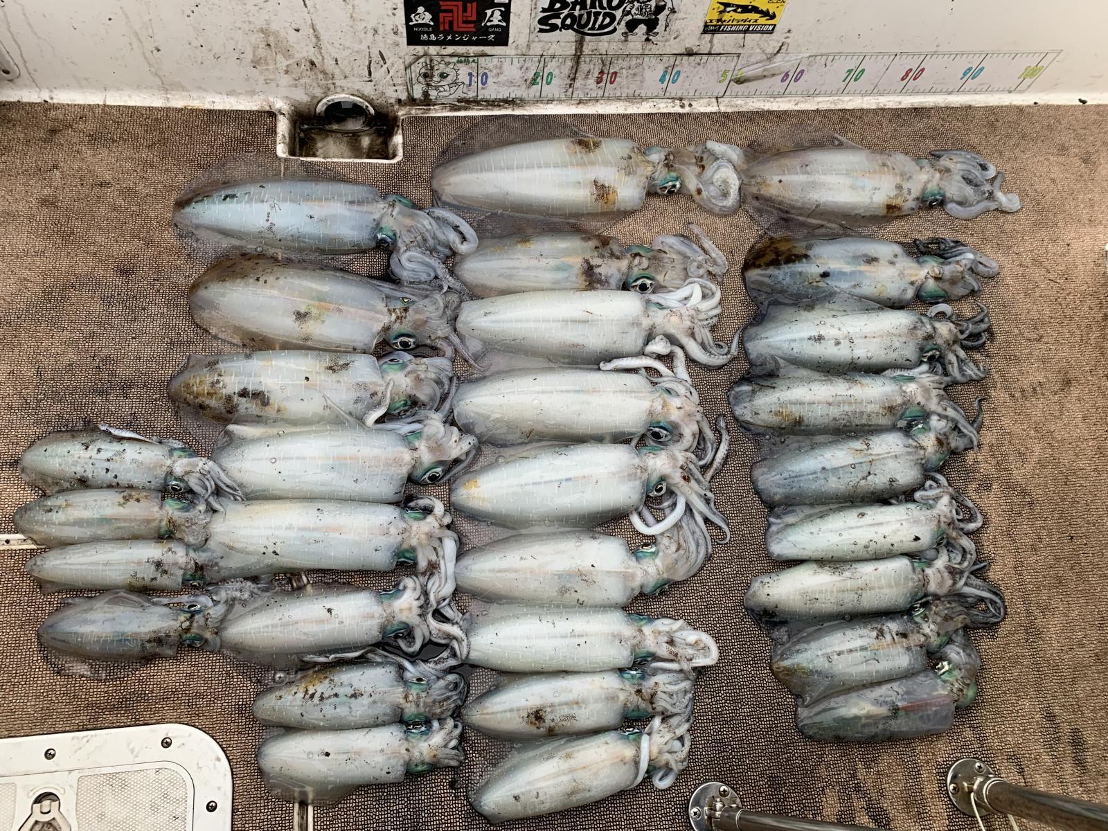 徳島遊漁船極鱗丸甲浦ティップランの1月の釣果(2026.01.19)