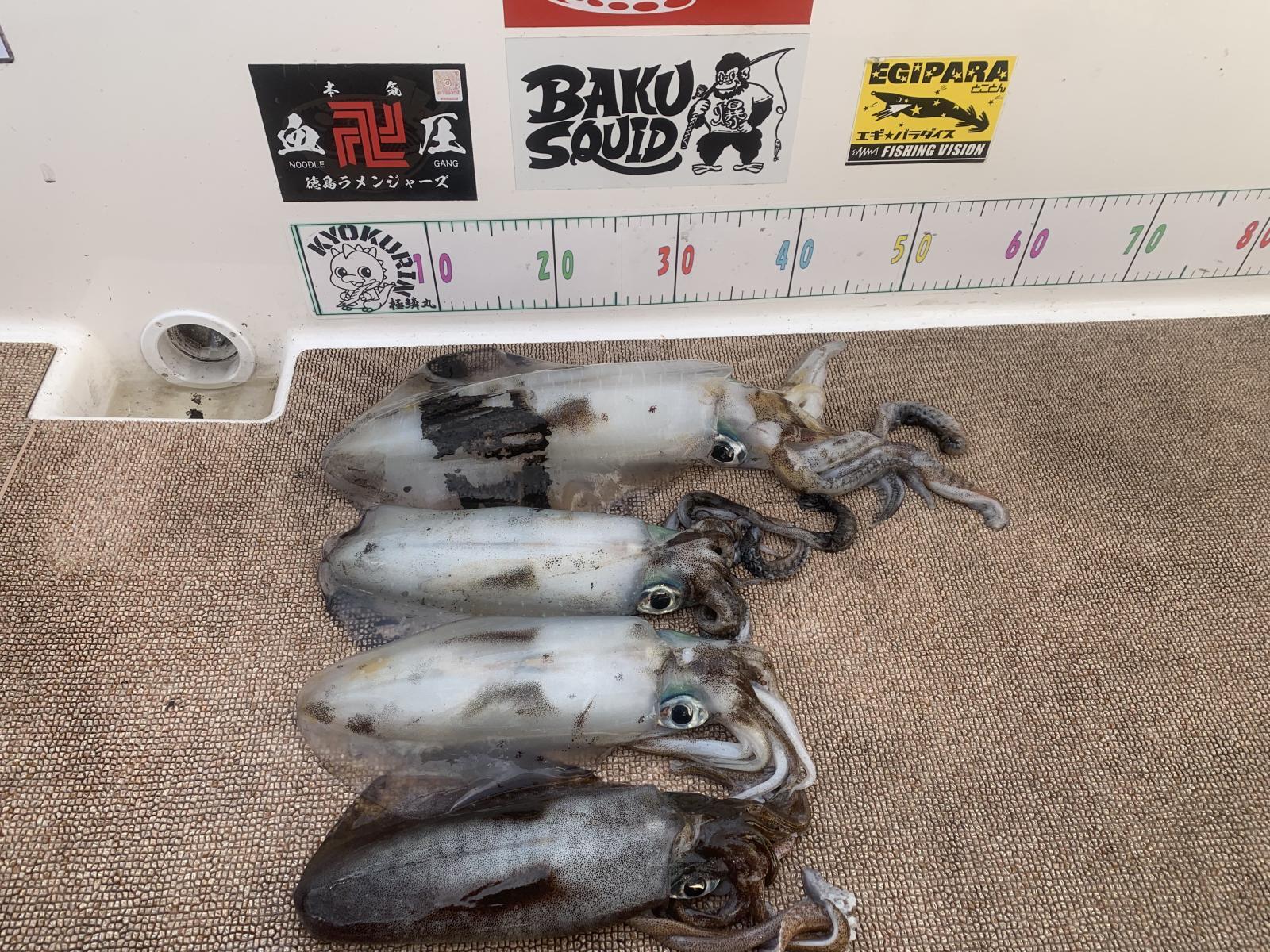 徳島遊漁船極鱗丸甲浦ティップランの2月の釣果(2026.02.07)