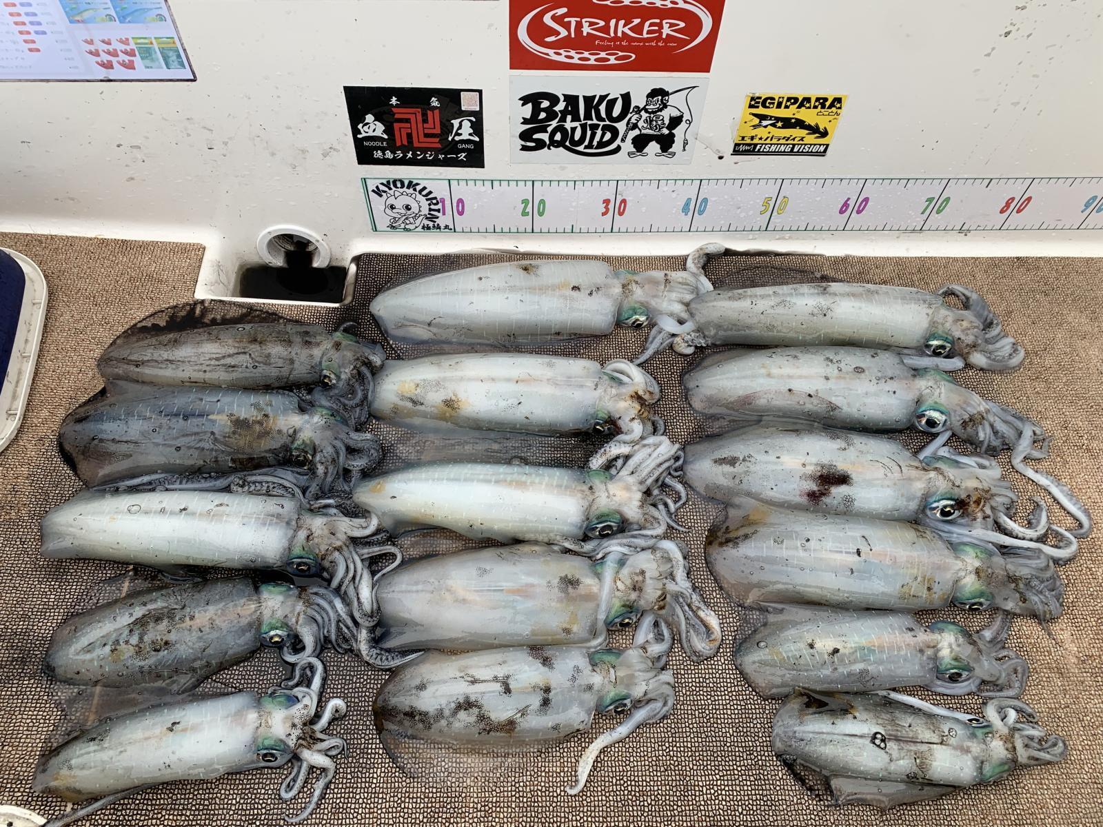 徳島遊漁船極鱗丸甲浦ティップランの2月の釣果(2026.02.10)