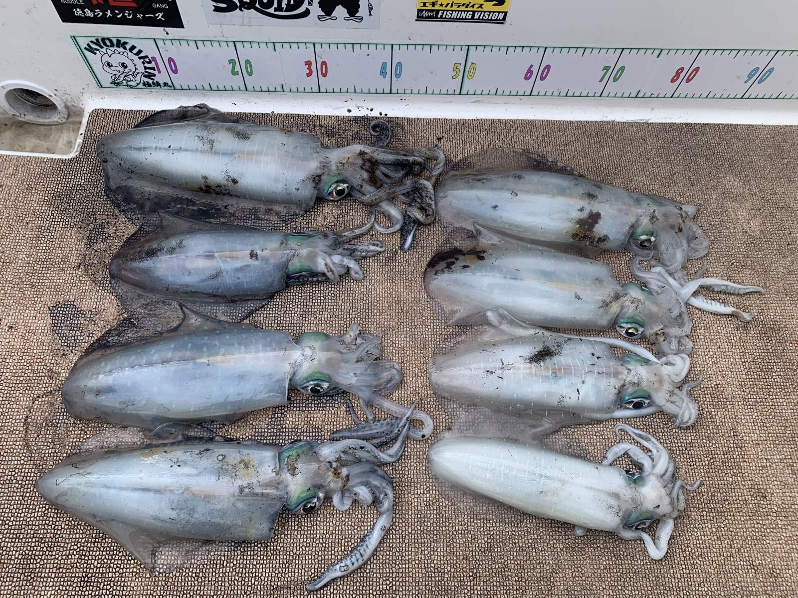 徳島遊漁船極鱗丸甲浦ティップランの2月の釣果(2026.02.15)