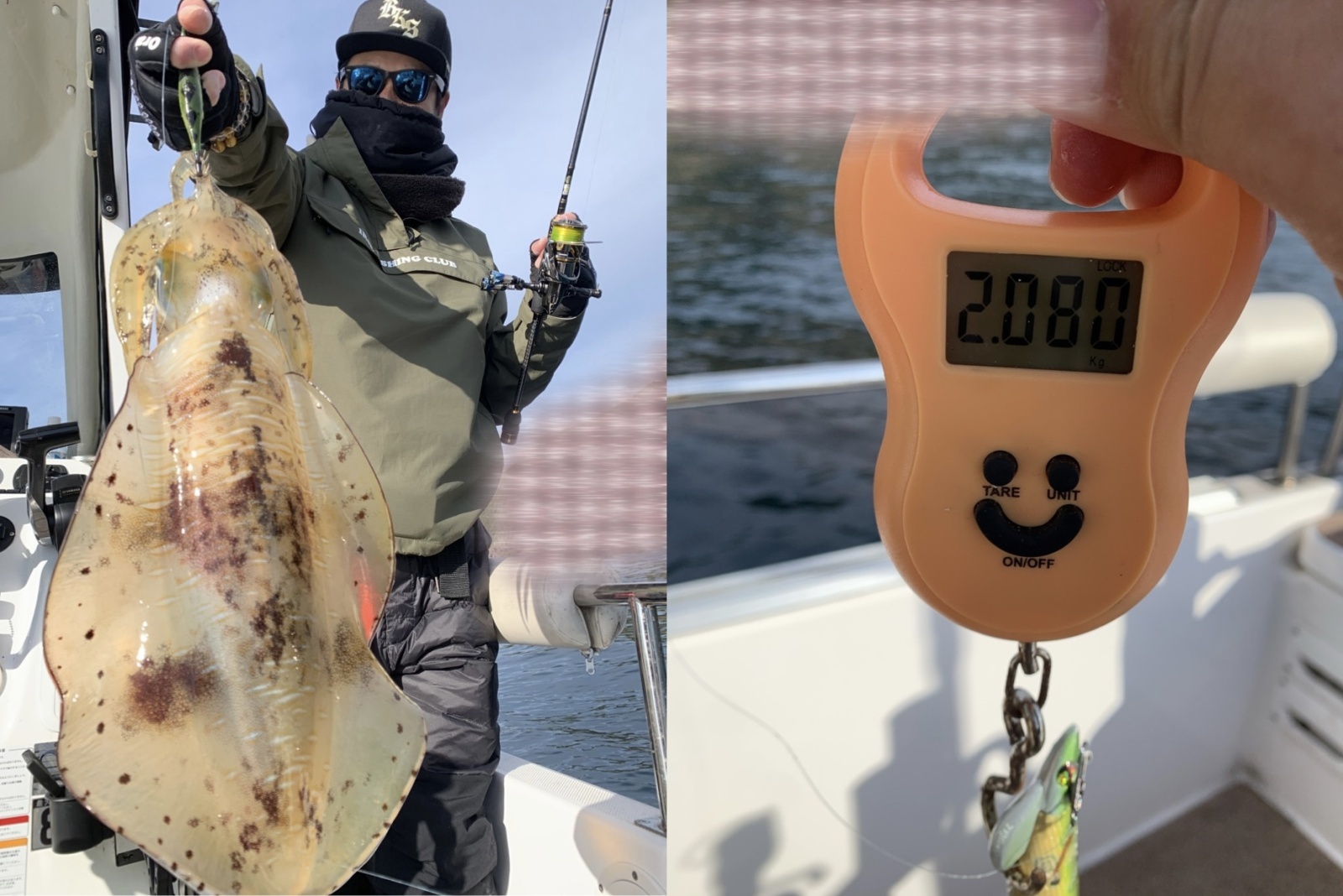 2025.12.31 アオリイカ 2050g