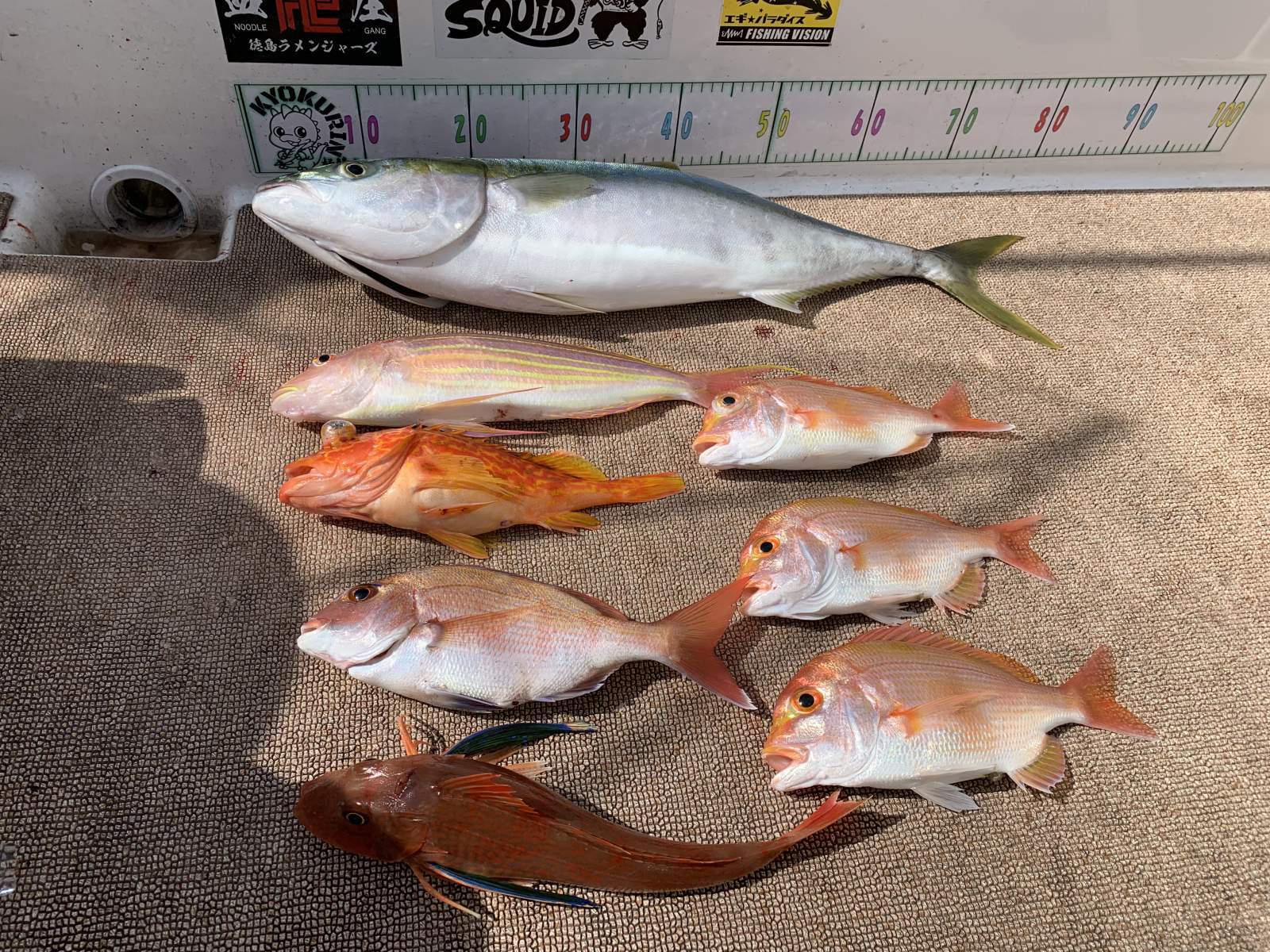 徳島遊漁船極鱗丸甲浦タイラバの2月の釣果(2026.02.23)