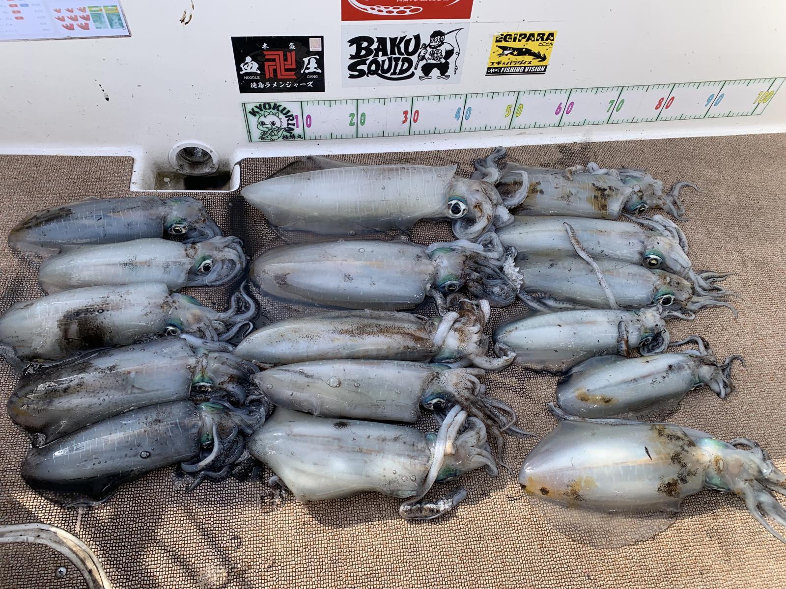 徳島遊漁船極鱗丸甲浦ティップランの3月の釣果(2026.03.05)