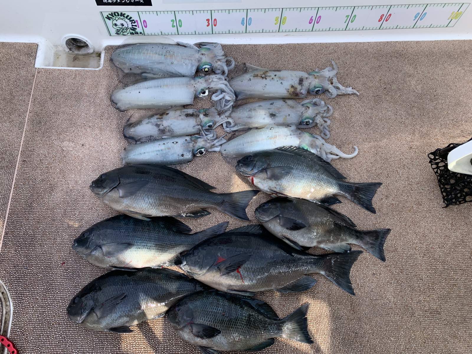徳島遊漁船極鱗丸甲浦ティップラン＆グレラバの3月の釣果(2026.03.09)
