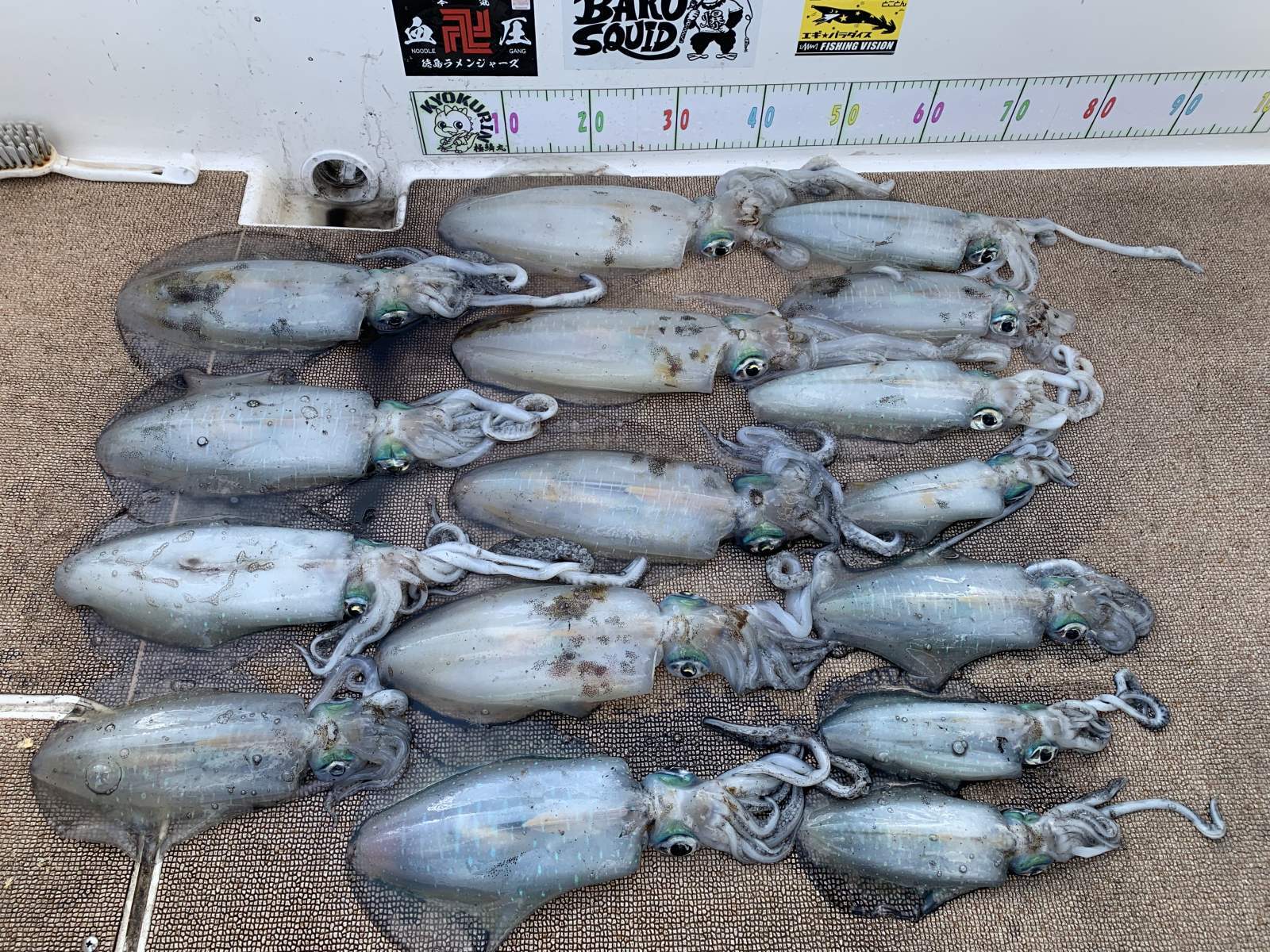 徳島遊漁船極鱗丸甲浦ティップランの3月の釣果(2026.03.19)