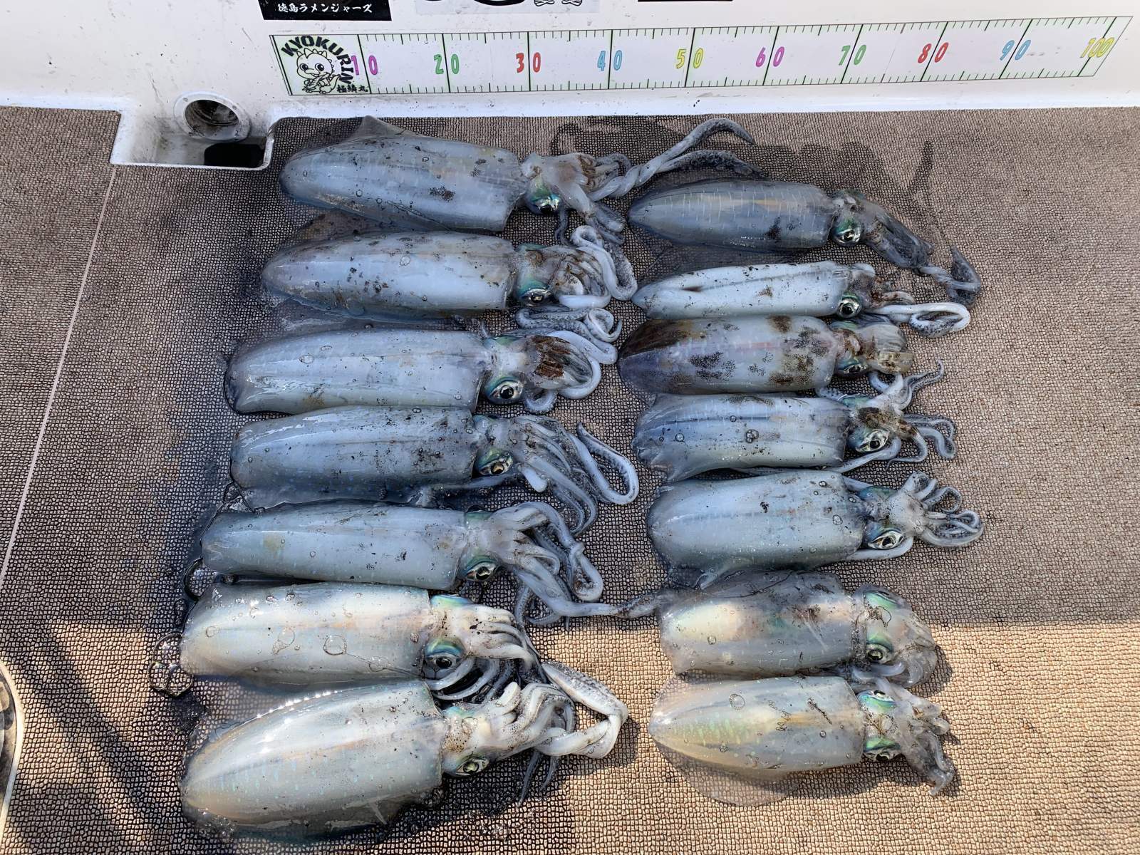 徳島遊漁船極鱗丸甲浦ティップランの3月の釣果(2026.03.20)