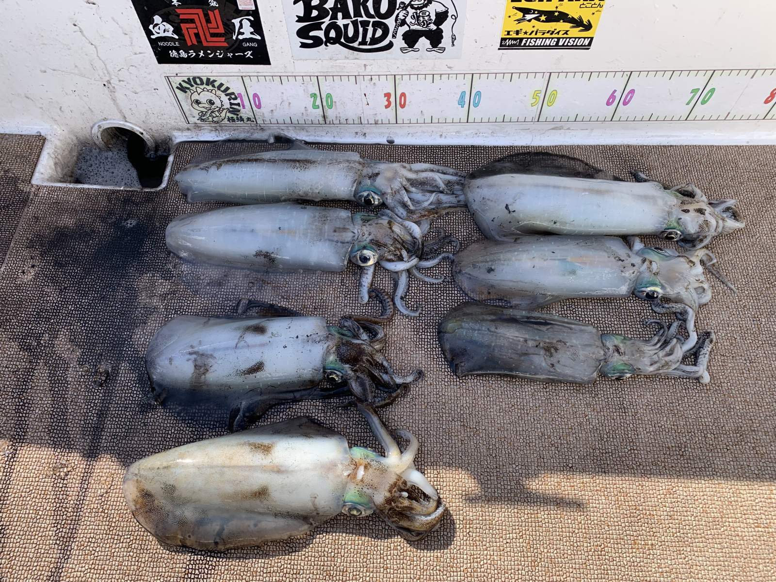 徳島遊漁船極鱗丸甲浦ティップランの4月の釣果(2026.04.08)