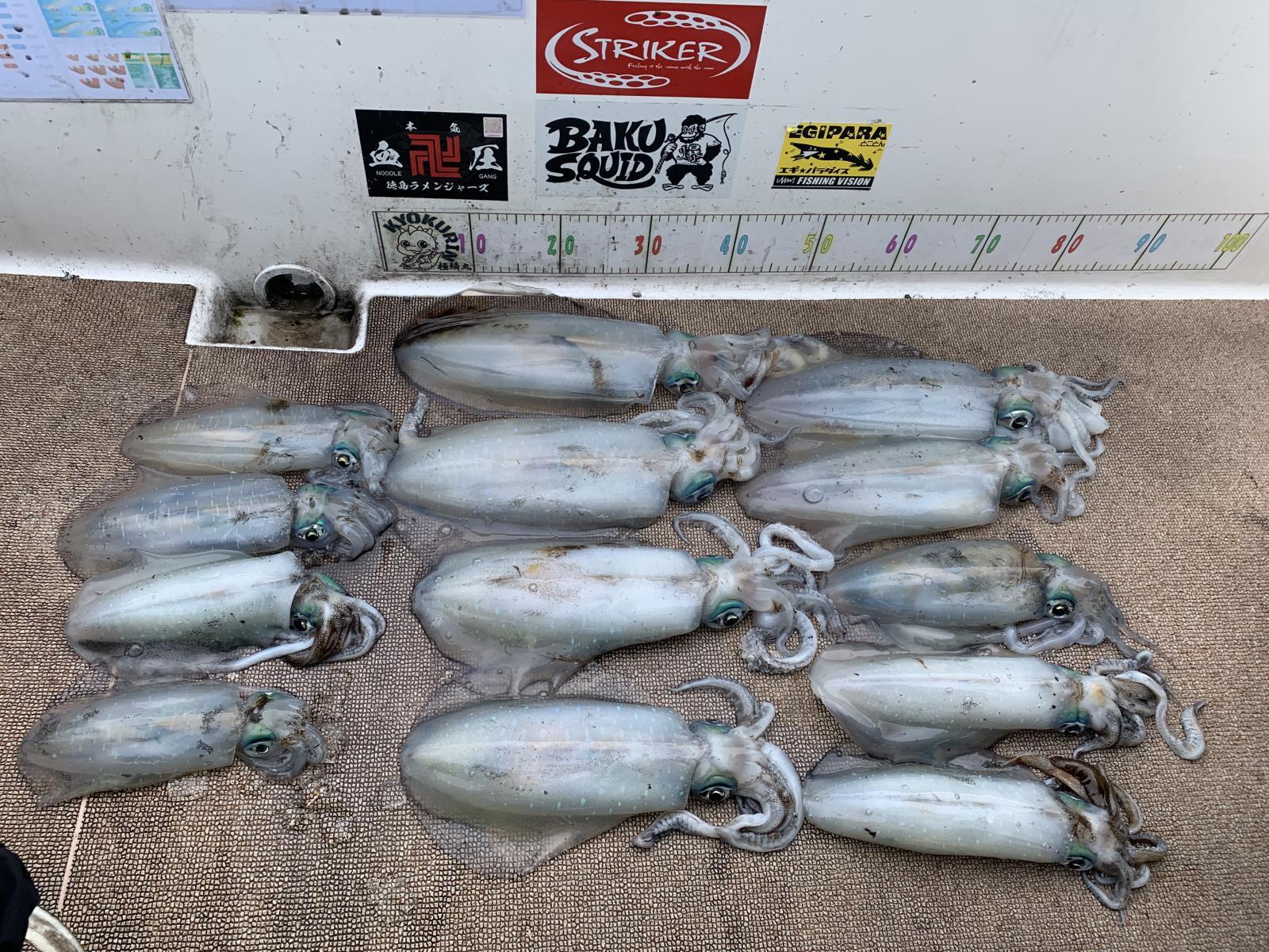 徳島遊漁船極鱗丸甲浦ティップランの4月の釣果(2026.04.14)