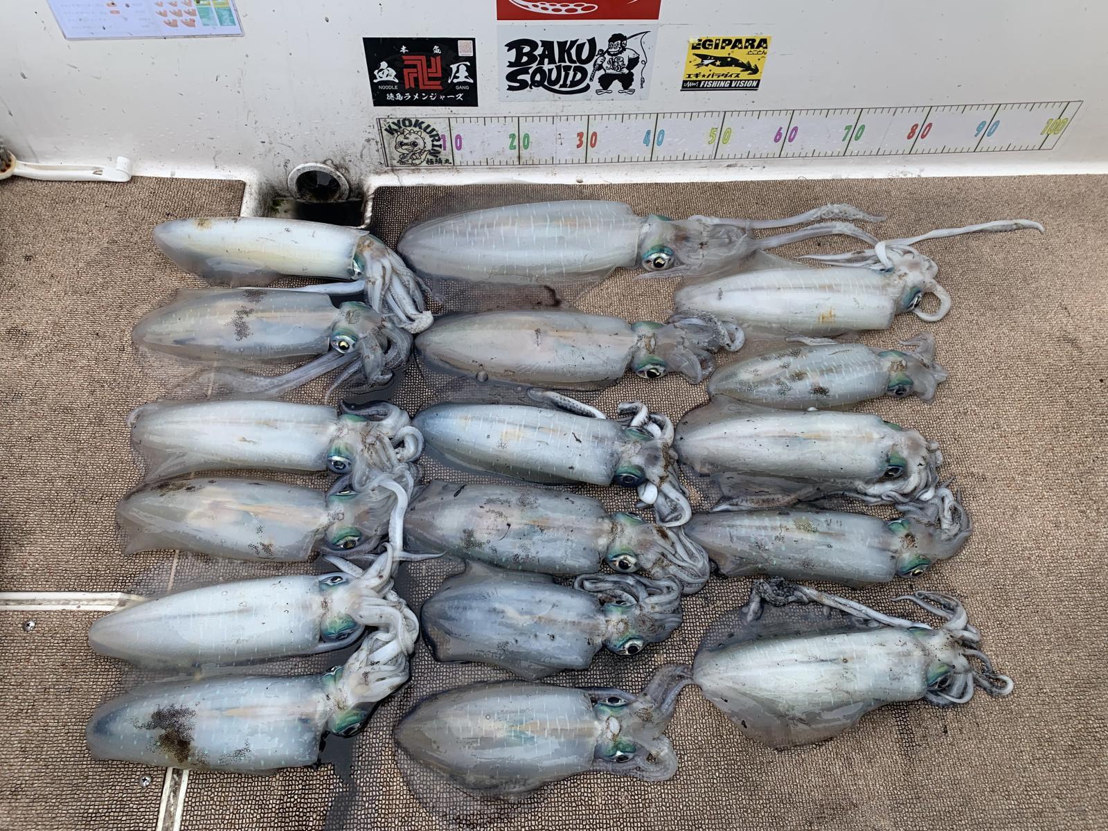 徳島遊漁船極鱗丸甲浦ティップランの4月の釣果(2026.04.22)