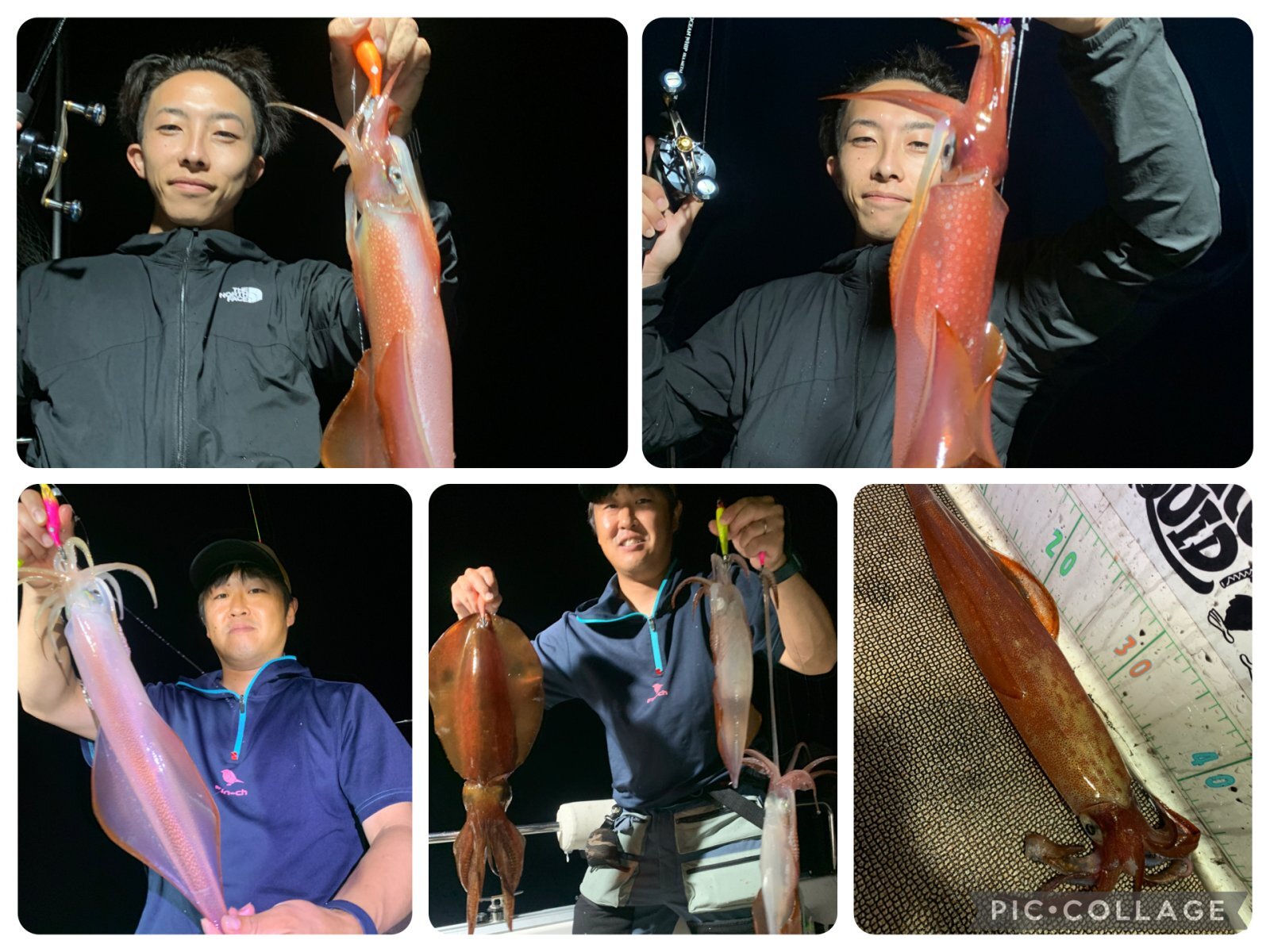 徳島遊漁船極鱗丸甲浦イカメタルの8月の釣果(2026.08.15)