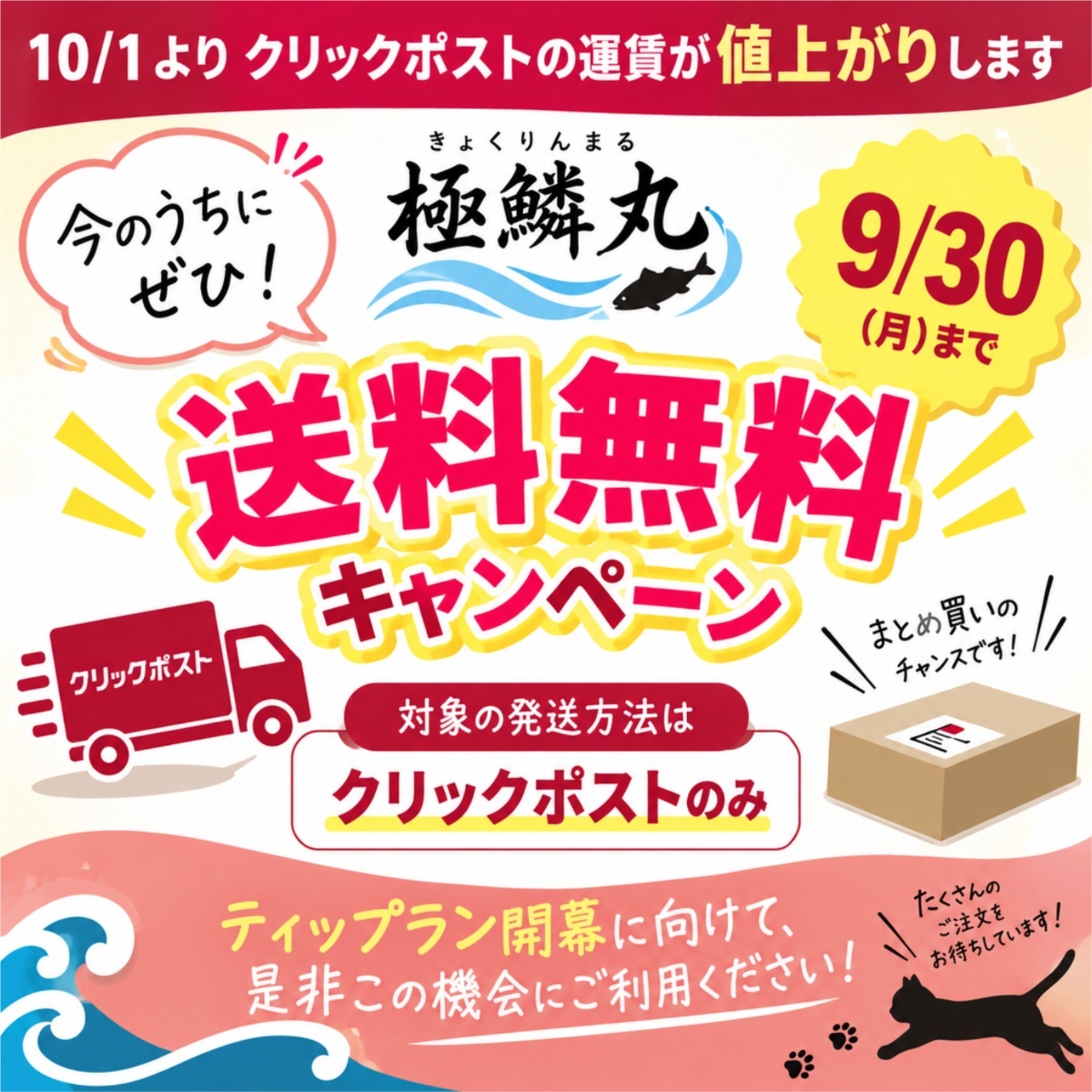 送料無料キャンペーン実施中‼